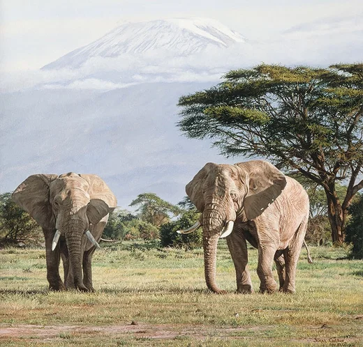 African Ancients by Simon Combes