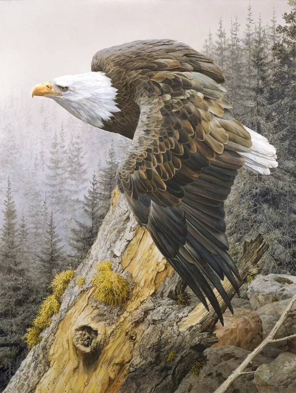 America On The Rise by Carl Benders — Giclee On Canvas