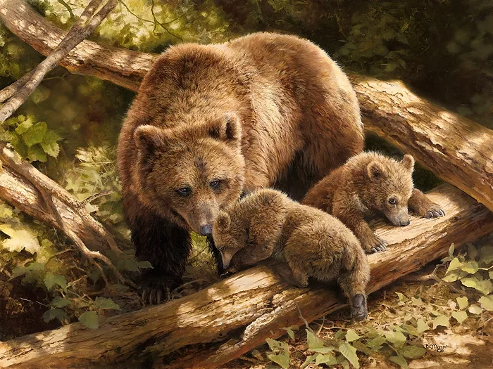 Born To Be Wild by Bonnie Marris — Giclee On Canvas