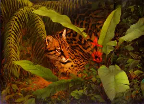 El Mano del Creador by Greg Beecham — Giclee On Canvas