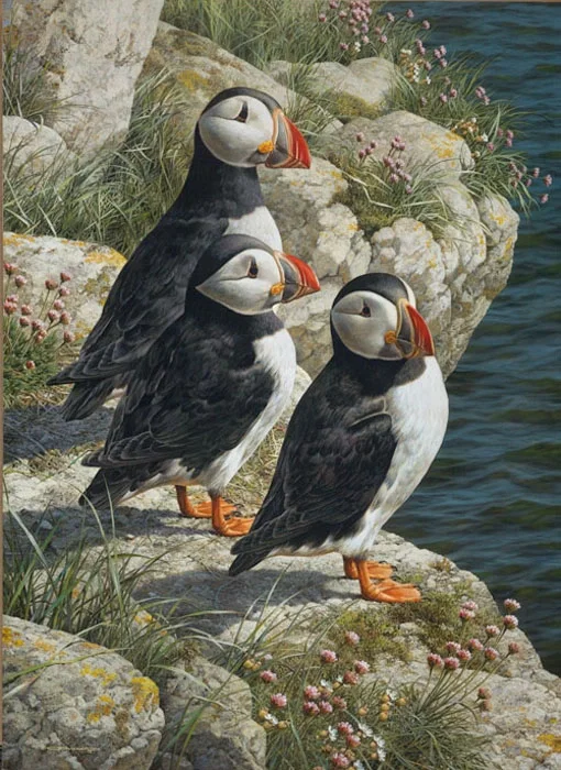 Fisherman´s Wharf - Puffins by Carl Brenders — Giclee On Canvas