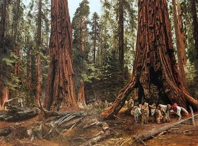 In the Land of the Giants by Paul Calle