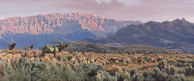 HOMELAND CHALLENGE by Rod Frederick