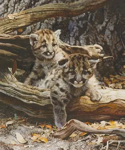 Carl Benders - Lend An Ear