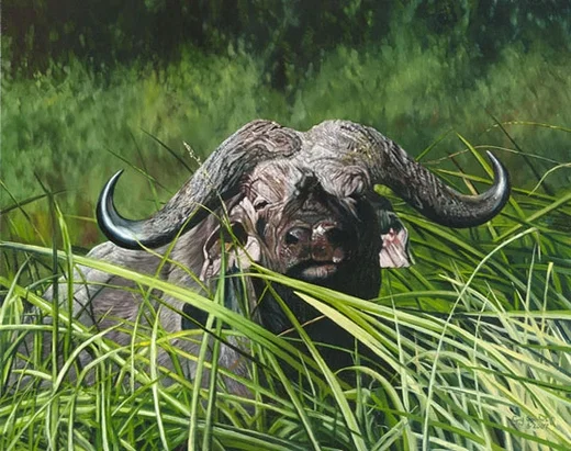 Mbogo Mkuu by Guy Combes