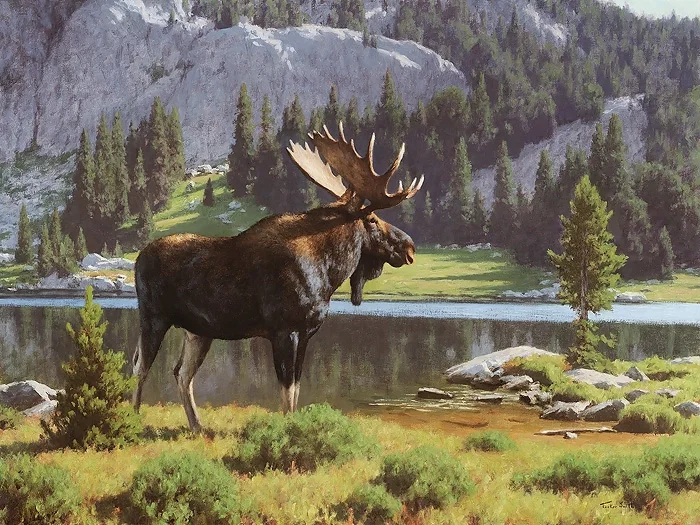 Moose at Dean Lake by Tucker Smith — Giclee On Canvas