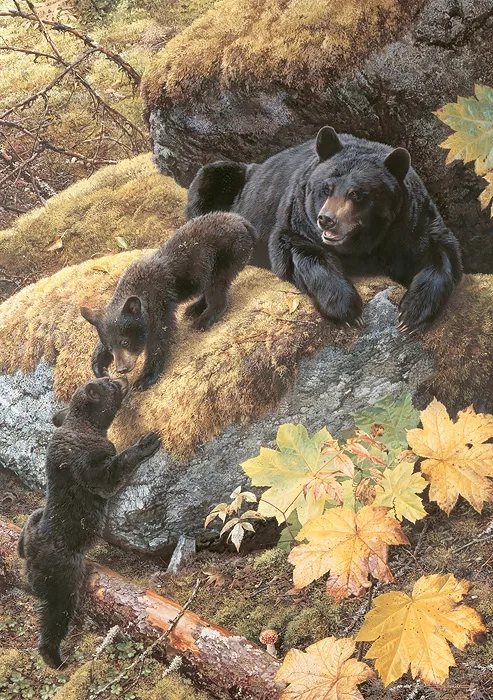 Nosing Around by Carl Benders — Giclee On Canvas