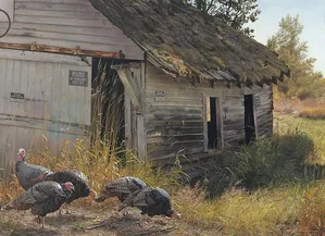 Carl Benders - No Trespassing