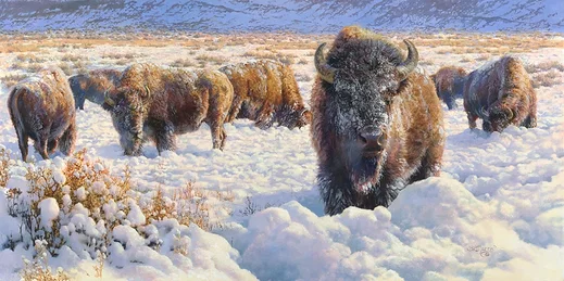 October Winter by Bonnie Marris