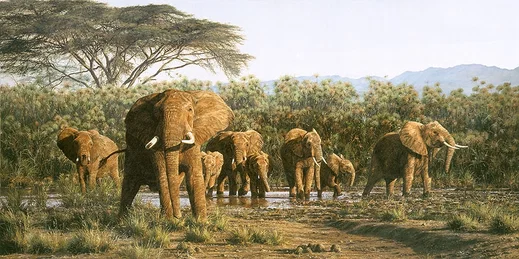 Papyrus Swamp Monarchs Master Works by Simon Combes