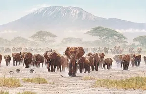 Guy Combes - Passage of Promise Museum