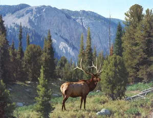 Tucker Smith - The Head of Pine Rock