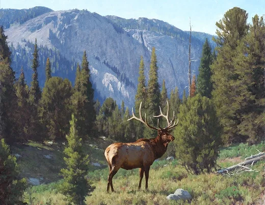 The Head of Pine Rock by Tucker Smith