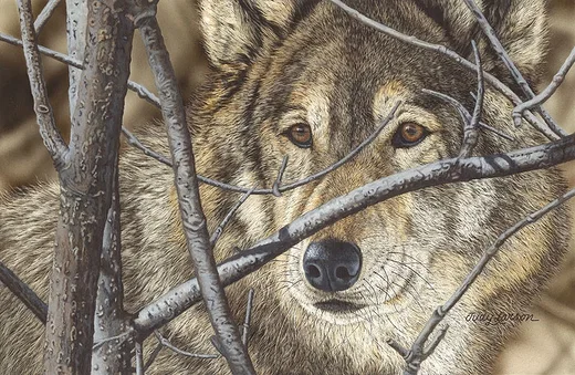 Hiding in Plain Sight by Judy Larson