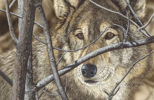 Hiding in Plain Sight by Judy Larson