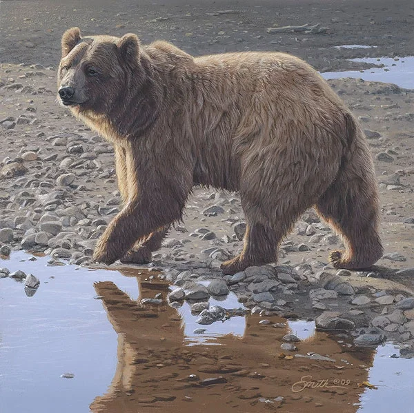 Riverbank Kestrel by Carl Benders — Giclee On Canvas