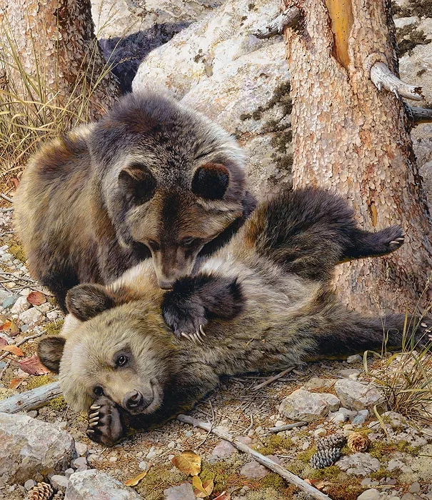 Rough and Tumble by Carl Brenders — Giclee On Canvas