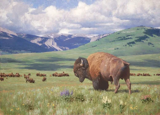 Return of Summer by Tucker Smith