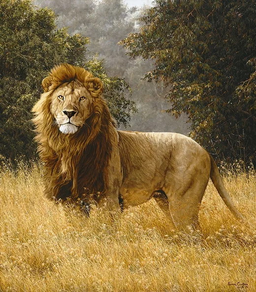 Simba Anniversary Edition by Simon Combes