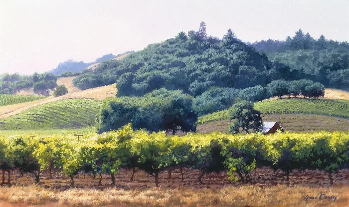 Summer Vineyard by June Carey — Giclee On Canvas