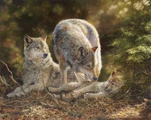 Trouble by Bonnie Marris