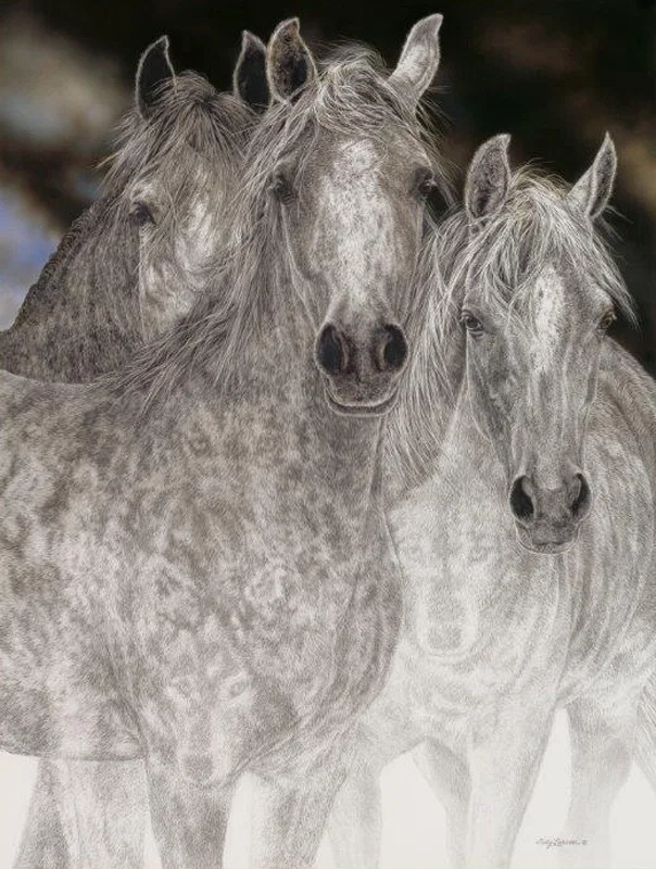 The Vanishing by Judy Larson — Giclee On Canvas