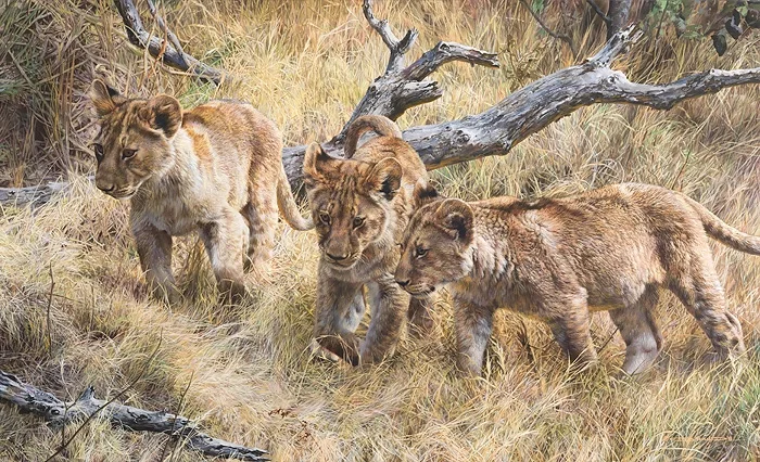 THE WANDERERS by Carl Brenders