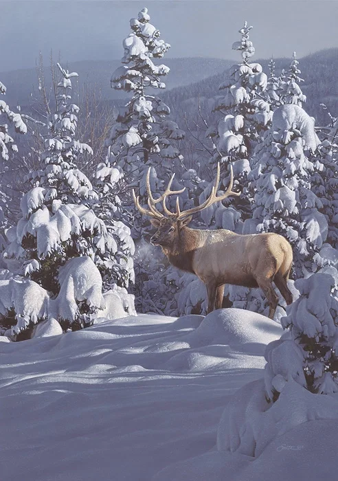 WINTER SUNDANCE by Daniel Smith