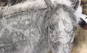 Judy Larson - RED HORSE