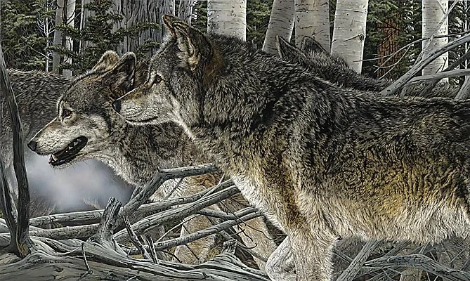 KINSHIP Limited Edition by Judy Larson — Print
