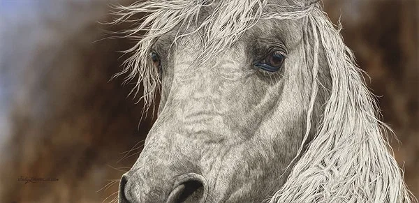 The Gift by Judy Larson — Canvas