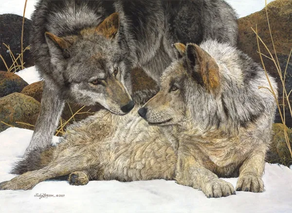 Judy Larson - The Alphas