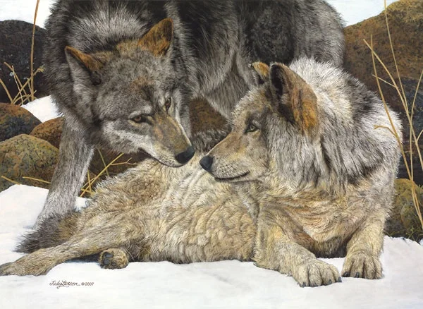 The Alphas by Judy Larson — Canvas