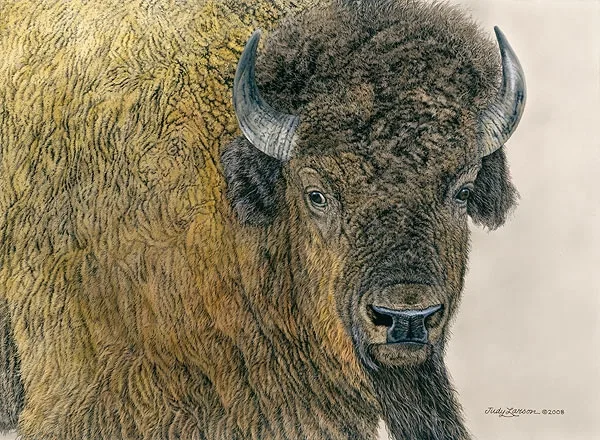 Slow Bull by Judy Larson — Canvas