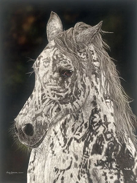 American Horse Limited Edition by Judy Larson — Print