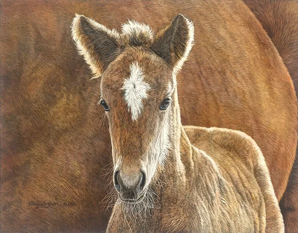 Wild in the Country SMALLWORK EDITION ON by Judy Larson — Canvas