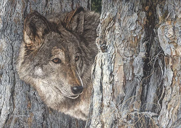 Looking for Love by Judy Larson — Canvas