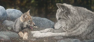 The Lesson by Judy Larson