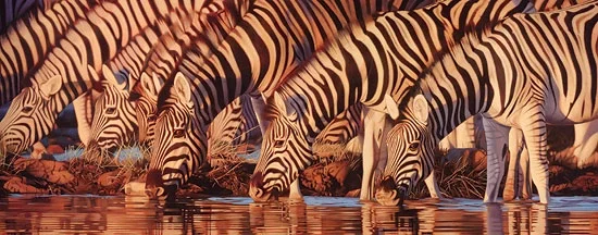 Joshua Spies artwork