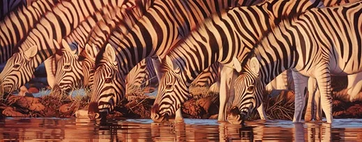 Waterline MUSEUM EDITION ON by Joshua Spies