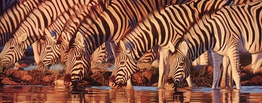 Waterline MUSEUM EDITION ON by Joshua Spies