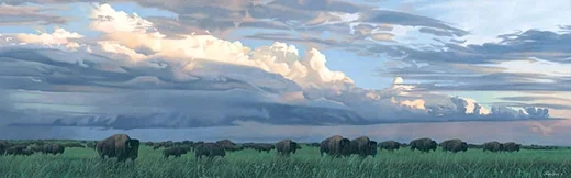 Prairie Thunder MUSEUM EDITION ON by Joshua Spies