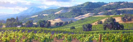 Song of the Wine Country by June Carey — Master Works Edition On Canvas