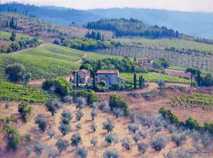 June Carey - Chianti Classico