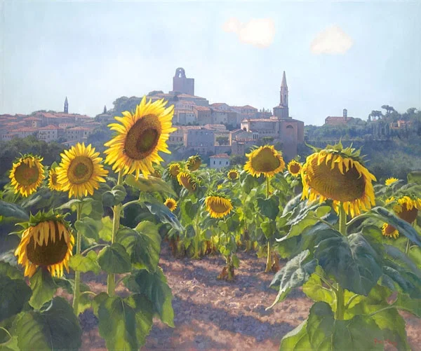 Sunflowers of Castiglion Fiorentino by June Carey — Canvas