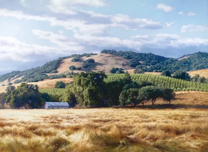 California Wine Country by June Carey — Master Works Edition On Canvas