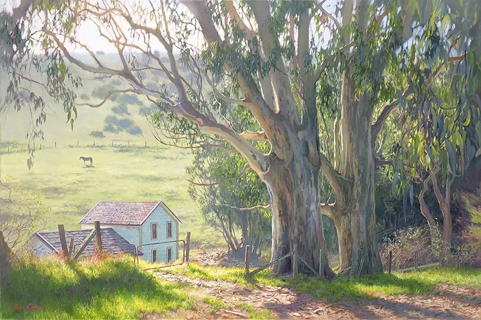 Basking Eucalyptus by June Carey — Canvas