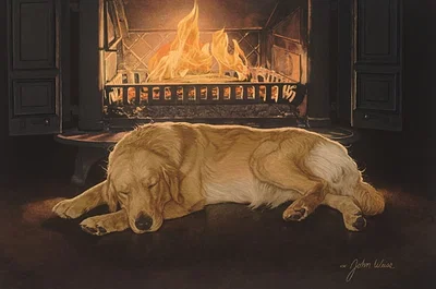 A Feeling of Warmth ANNIVERSARY EDITION by John Weiss