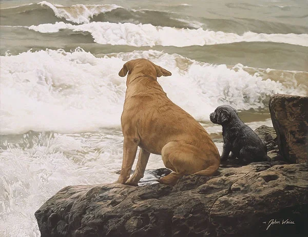 No Swimming Lessons Today ANNIVERSARY EDITION ON by John Weiss — Canvas