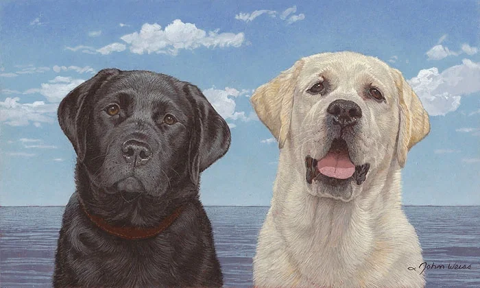 Ebony and Ivory by John Weiss — Canvas